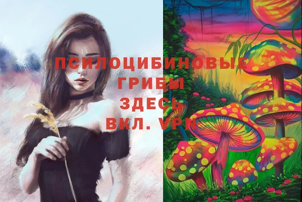 a pvp Волоколамск