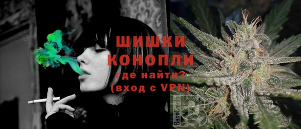 метадон Вяземский