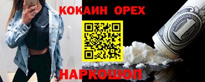 СК Бердск