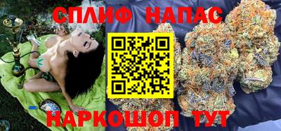 СК Бердск