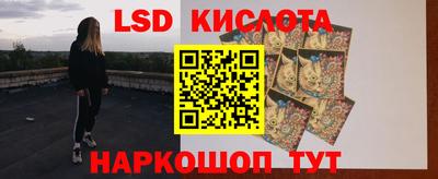 СК Бердск
