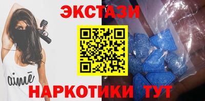 СК Бердск