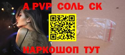 СК Бердск