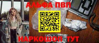 СК Бердск