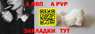 СК Бердск