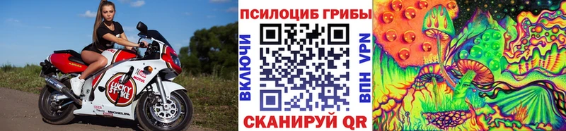 купить наркоту  Геленджик  Псилоцибиновые грибы GOLDEN TEACHER 
